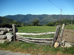 IMG_1113 IMG_1113