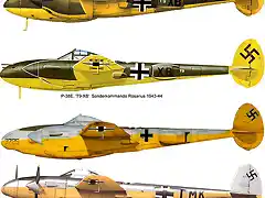 Esquemas P-38 Alemania