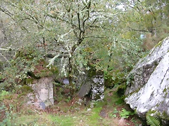 DSCN5784 DSCN5784