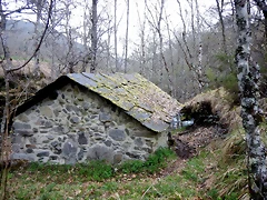 DSCN3966 DSCN3966