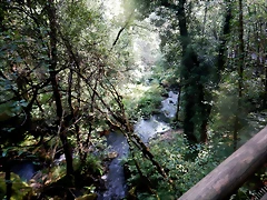 DSCN8472 DSCN8472
