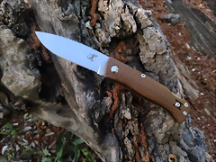 SALAMANDRA TEK 26-4-25 (1)