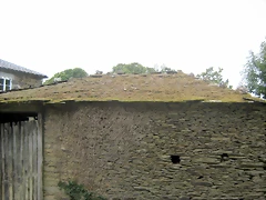 IMG_0284 IMG_0284