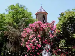 24, pz de la iglesia, marca