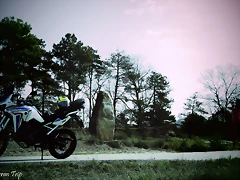 IMG_1844 IMG_1844