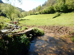 DSCN0057 DSCN0057