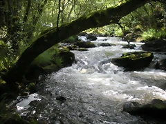 DSCN2793 DSCN2793