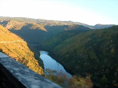 DSCN6522 DSCN6522