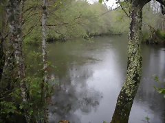 DSCN4165 DSCN4165