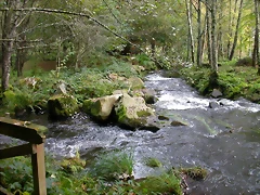 DSCN5734 DSCN5734