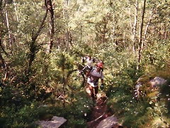 Pirineos2