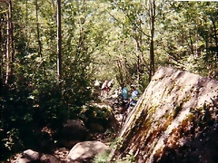 Pirineos1