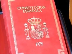 constitu constitu