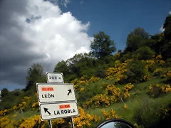 DSCN7843 DSCN7843