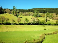 DSCN0050 DSCN0050