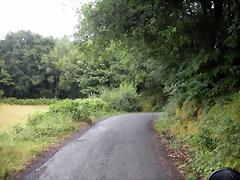 DSCN4721 DSCN4721