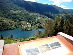 DSCN7843 DSCN7843