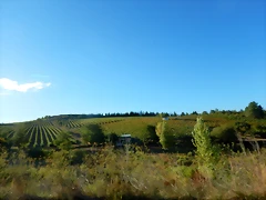 DSCN6180