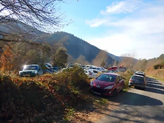 DSCN0201 DSCN0201