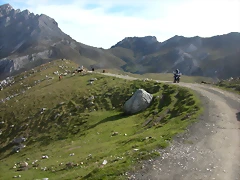 DSCN1160 DSCN1160