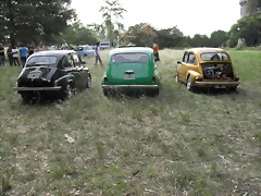 SDC11011 SDC11011