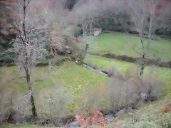DSCN1008 DSCN1008