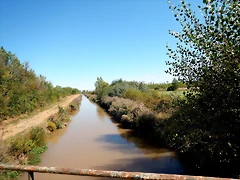 14 DSCN9353 14 DSCN9353