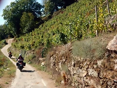 DSCN0465 DSCN0465