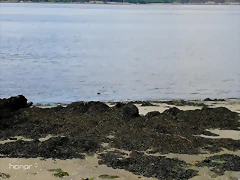 IMG_20180430_140055