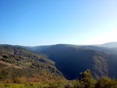 DSCN8561