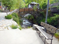 DSCN1090 DSCN1090