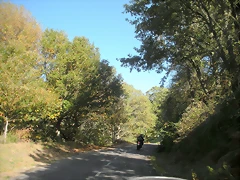 DSCN0081