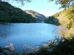 DSCN6499 DSCN6499