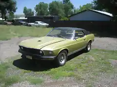 1969 shelby de mexico 001 (1)