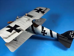 Pfalz D