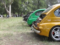 SDC11010 SDC11010
