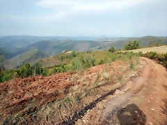 DSCN4785 DSCN4785