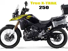 Vstrom 250 True xtrail copia