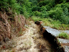 DSCN7465 DSCN7465