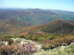 DSCF2577 DSCF2577