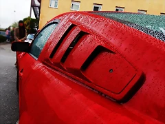 P3220323 P3220323