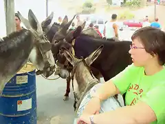 5 carrera de burros en Nerva-28.06.09