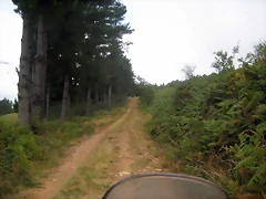 IMG_0212 IMG_0212