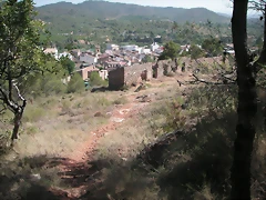 PICT0013