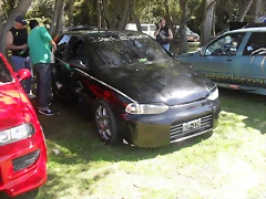 SDC13498 SDC13498