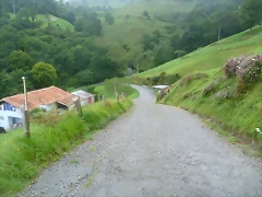 P1010014 P1010014