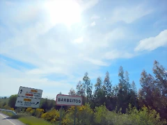 DSCN1264 DSCN1264