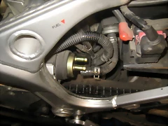 IMG_1873 IMG_1873