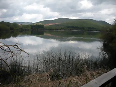 DSCN6171 DSCN6171