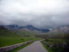 DSCN4332 DSCN4332